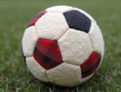Plush Plaid Soccer Ball On Green Grass