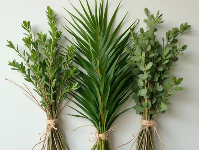 Three Bundles Of Fresh Green Foliage On White Background