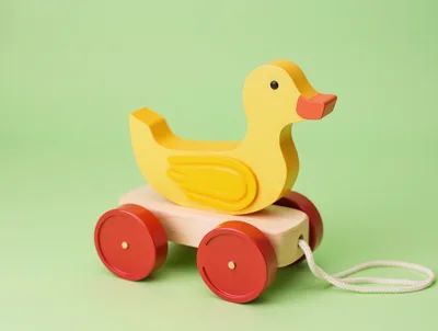 Wooden Duck Pull Toy on Green Background