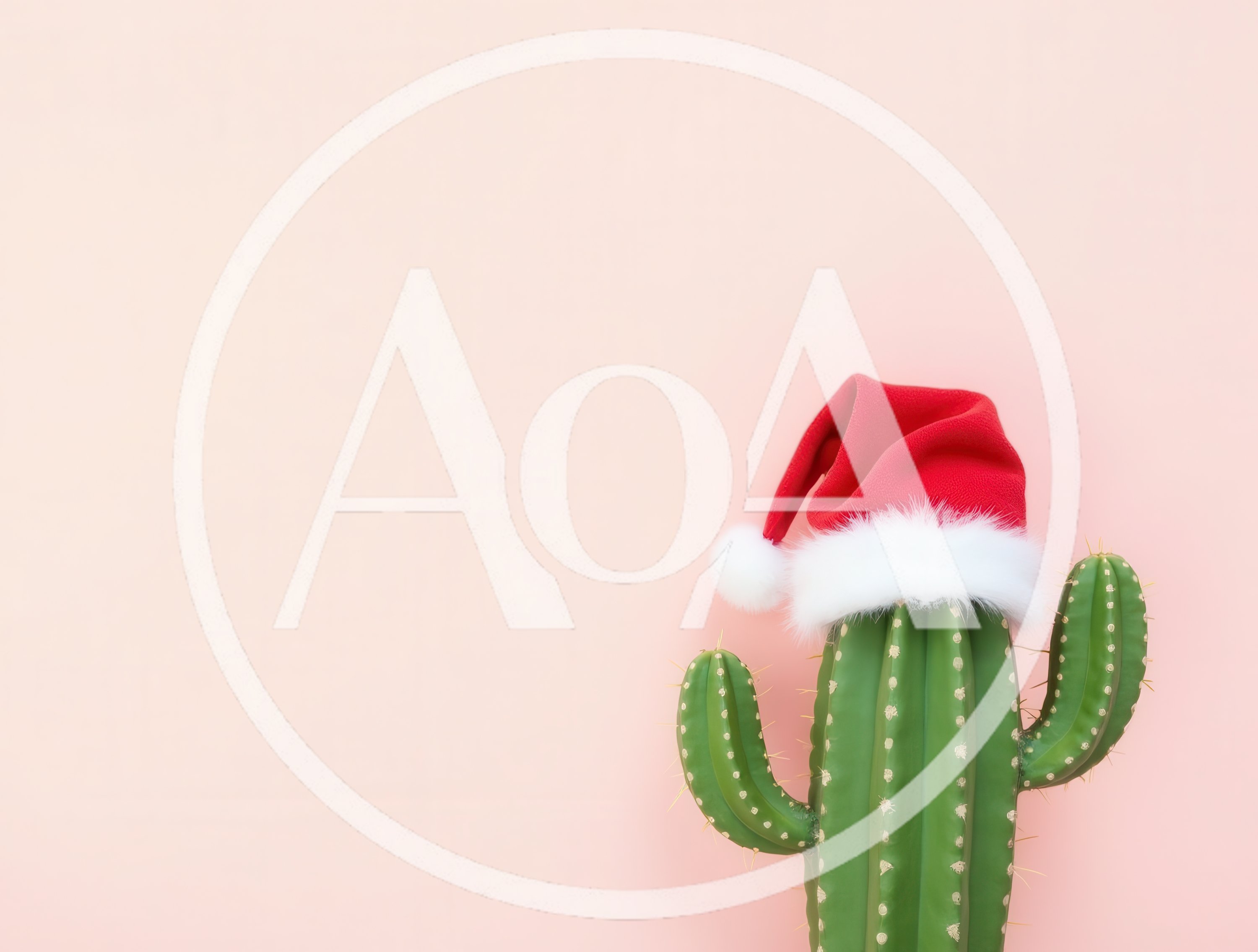 Cactus Wearing A Santa Hat On Pink Background