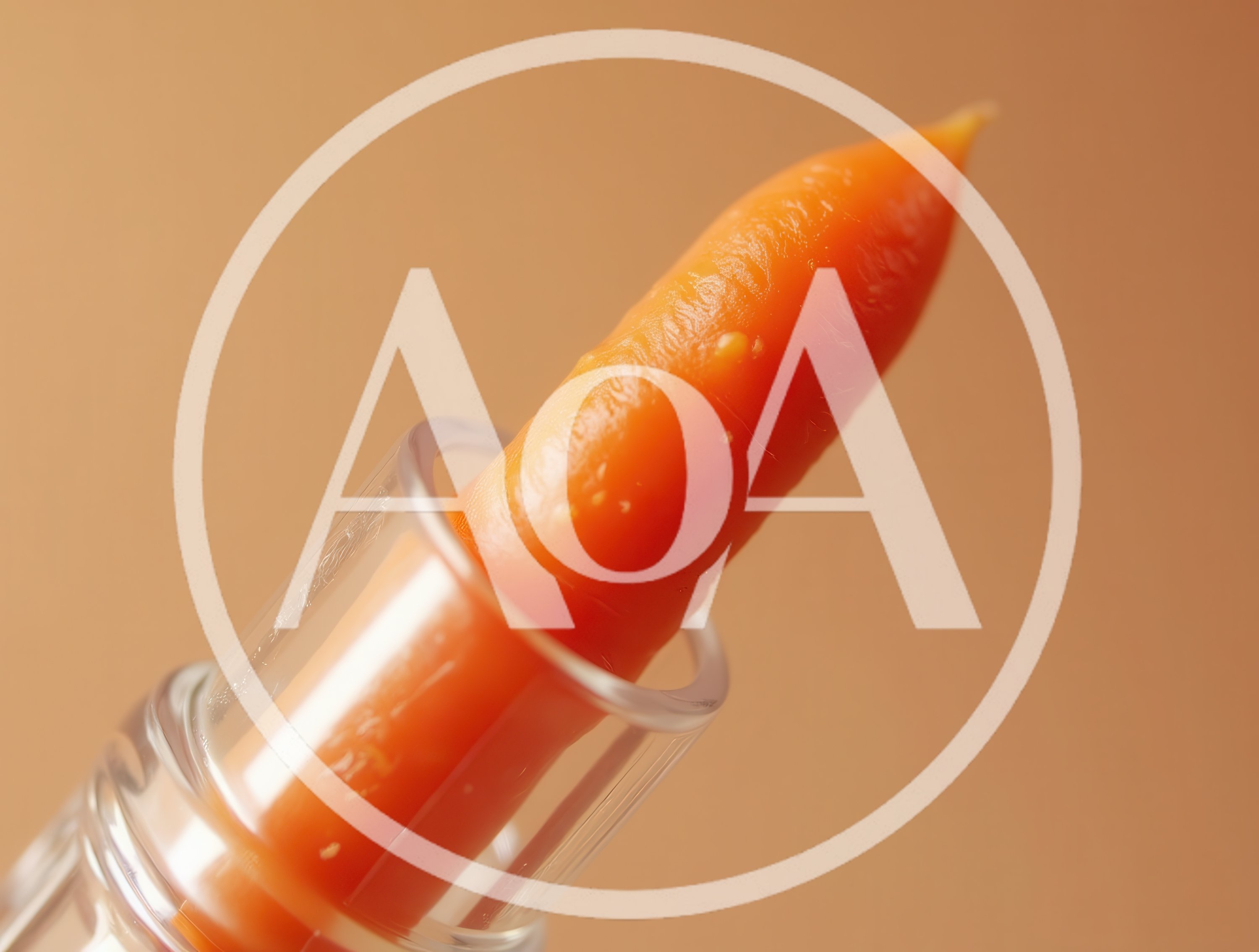Carrot Shaped Like A Lipstick In A Clear Case