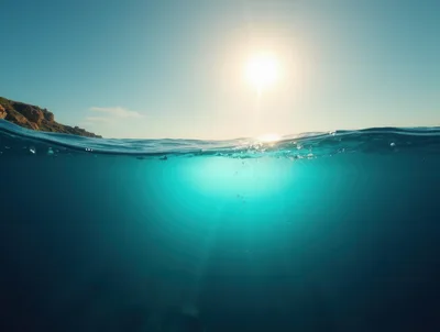 Split Level Underwater View Of Tropical Ocean Surface