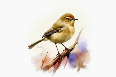 Watercolor Illustration Of A Small Bird Perched On Branch