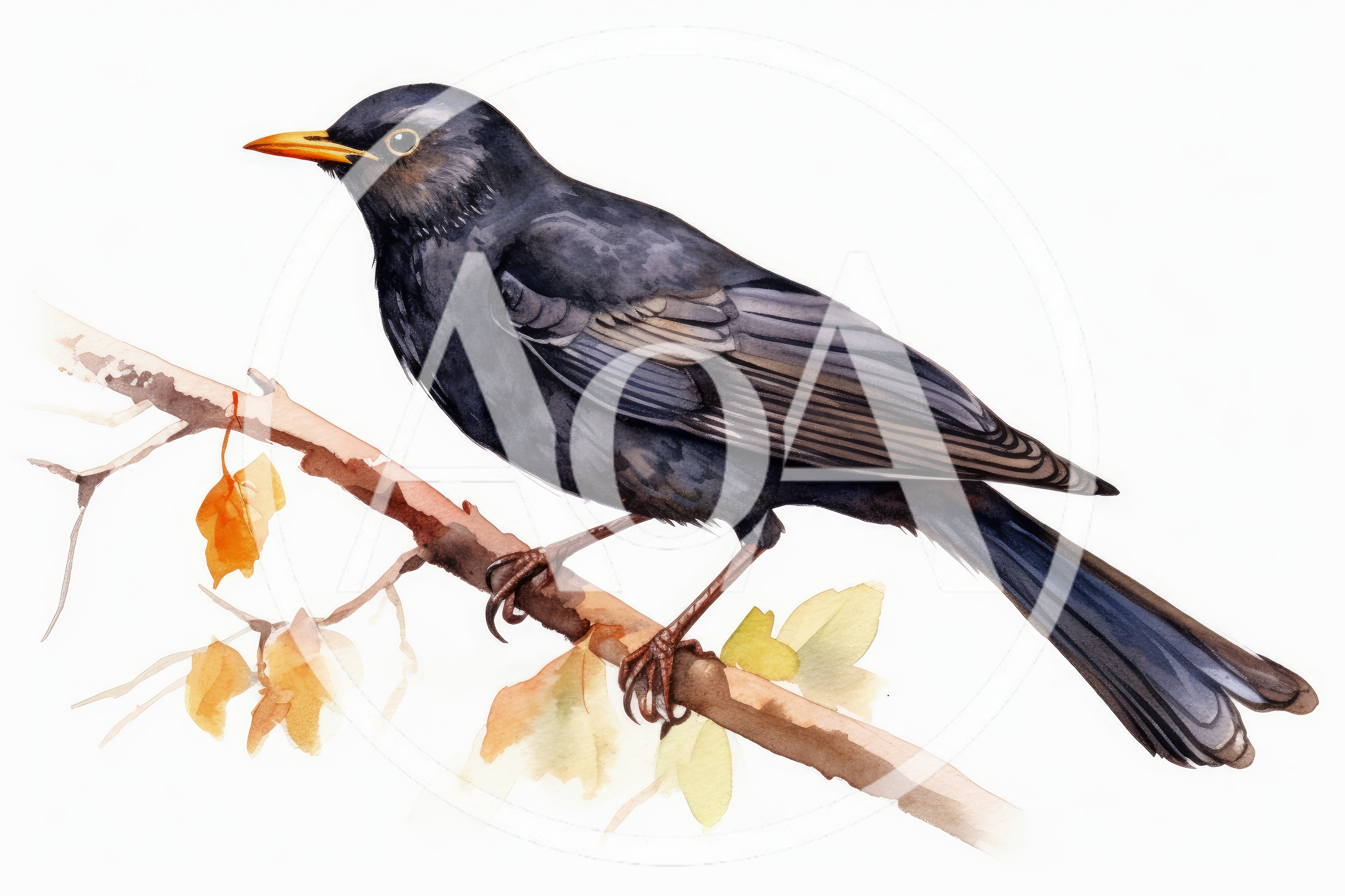 Watercolor Illustration Of A Blackbird Perched On A Branch