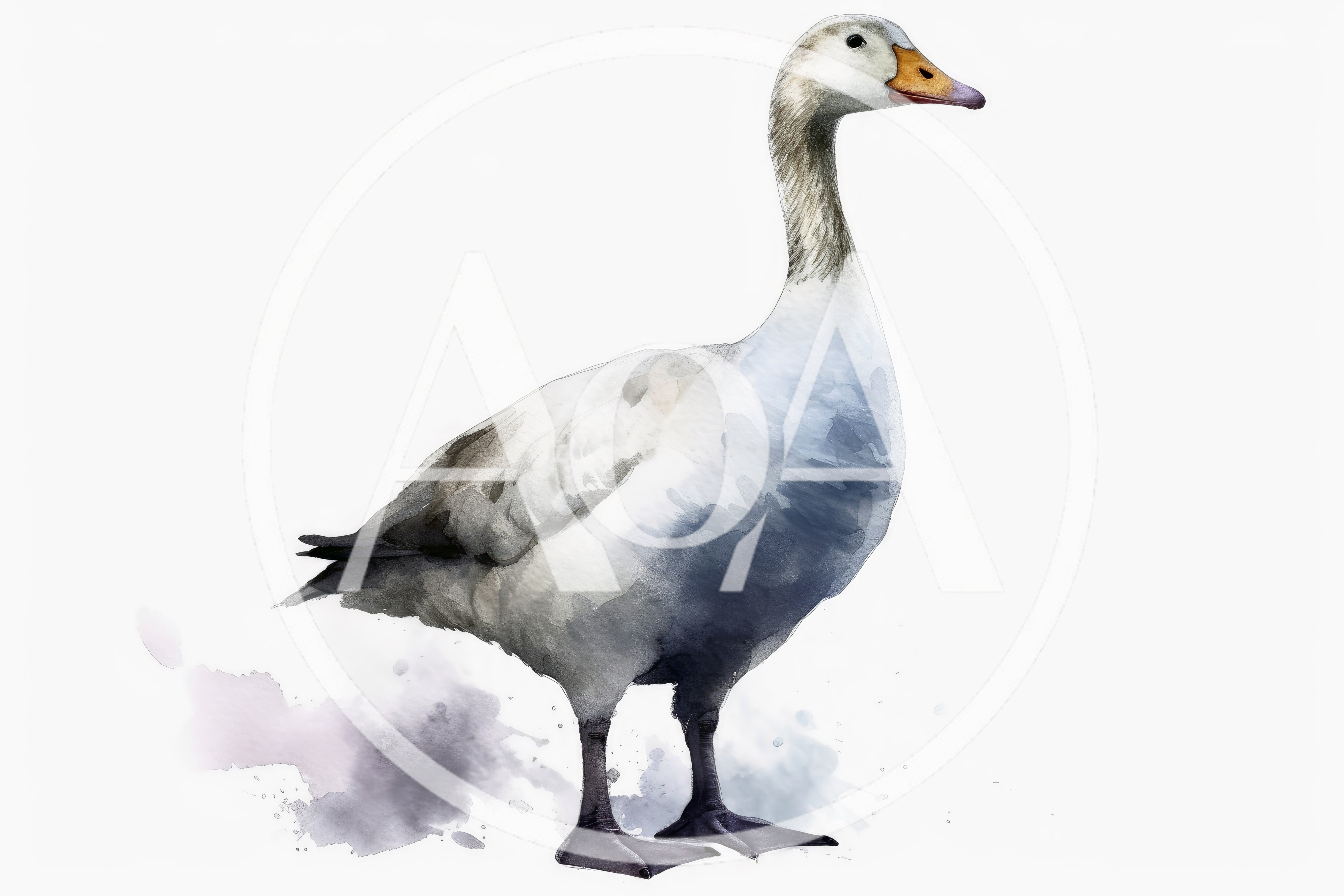 Watercolor Illustration Of A Standing Snow Goose
