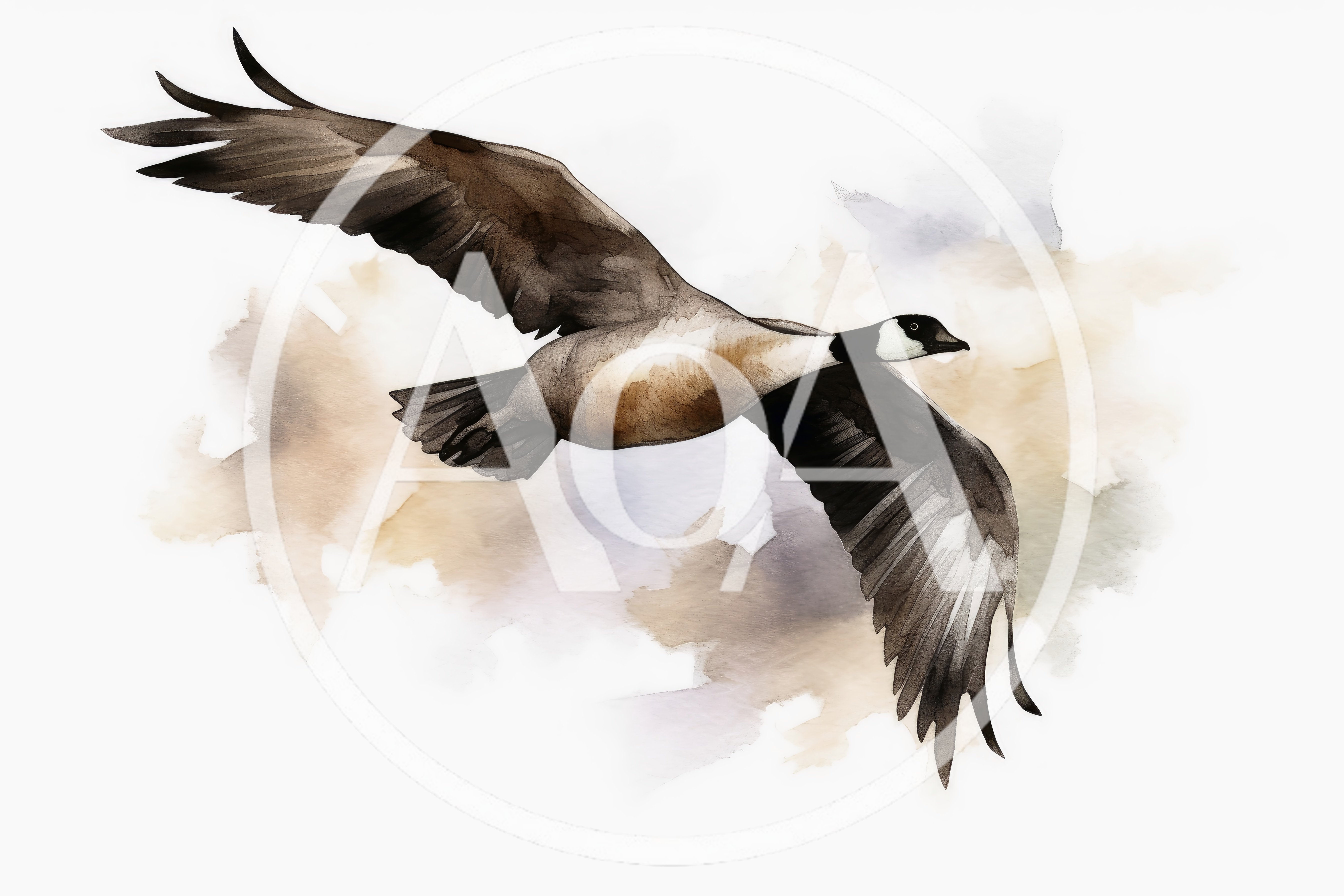 Watercolor Illustration Of A Canada Goose In Flight