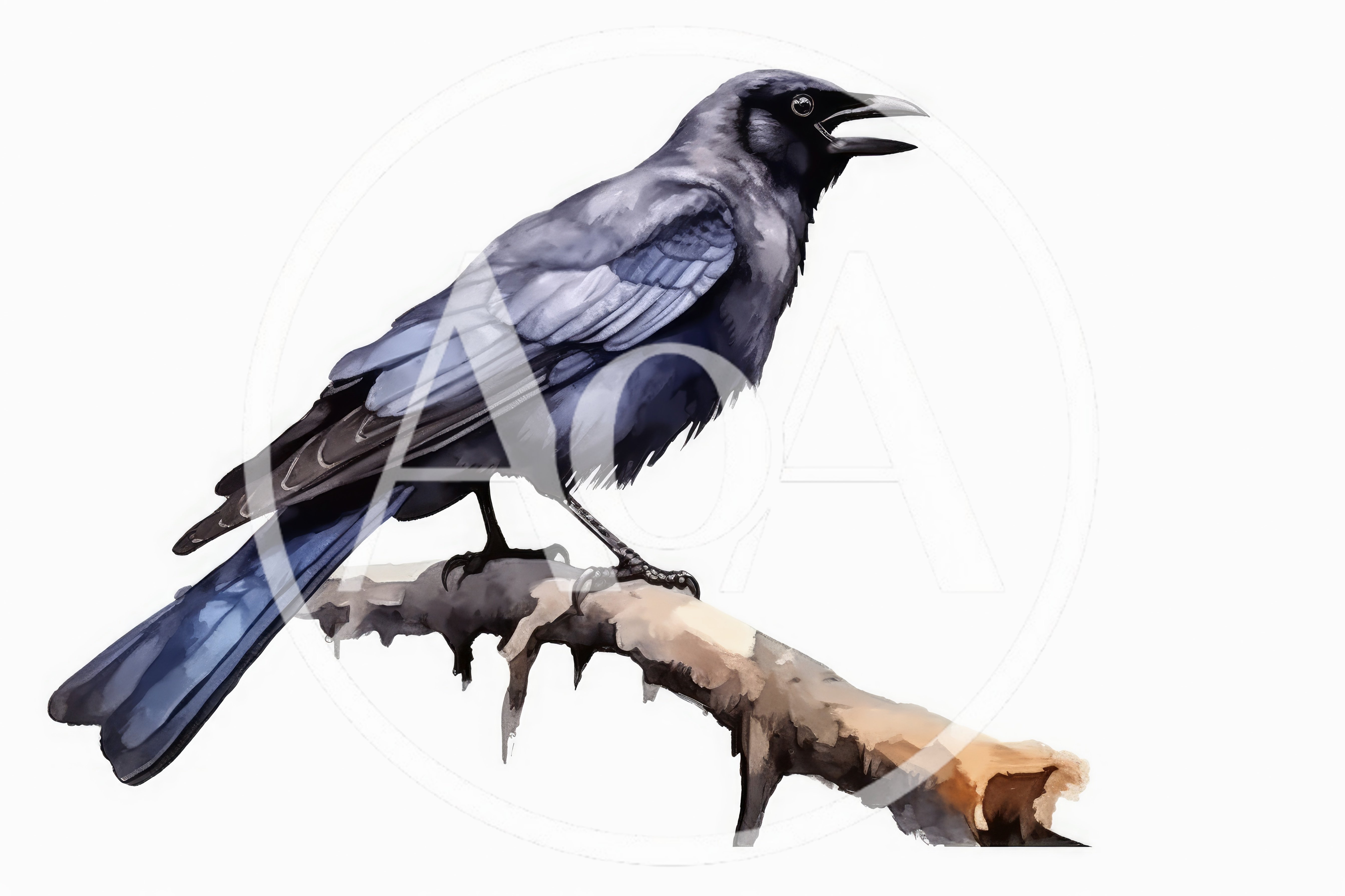 Watercolor Illustration Of A Black Crow Perched On Branch