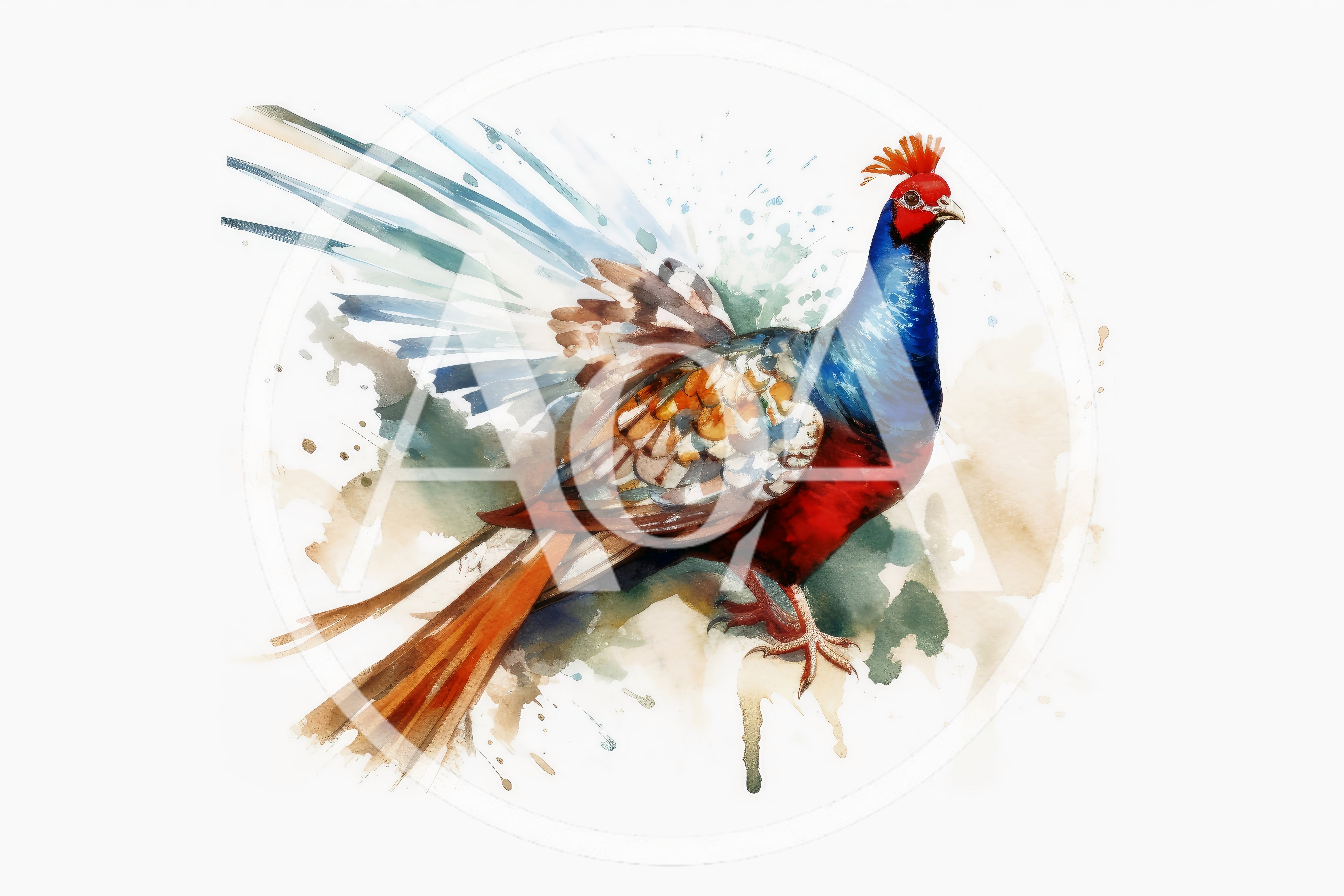 Watercolor Illustration Of A Colorful Pheasant Bird