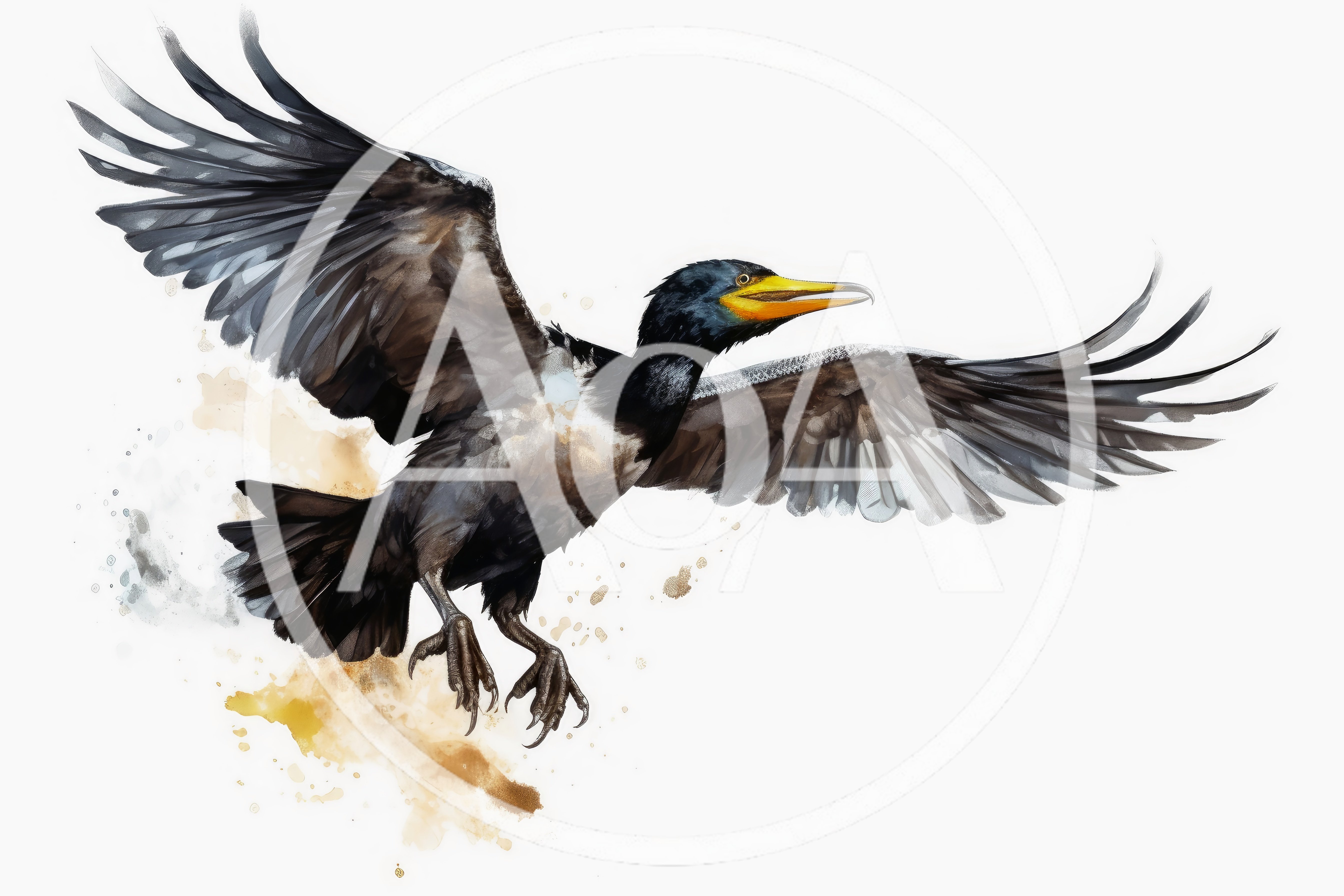 Watercolor Illustration Of A Flying Cormorant