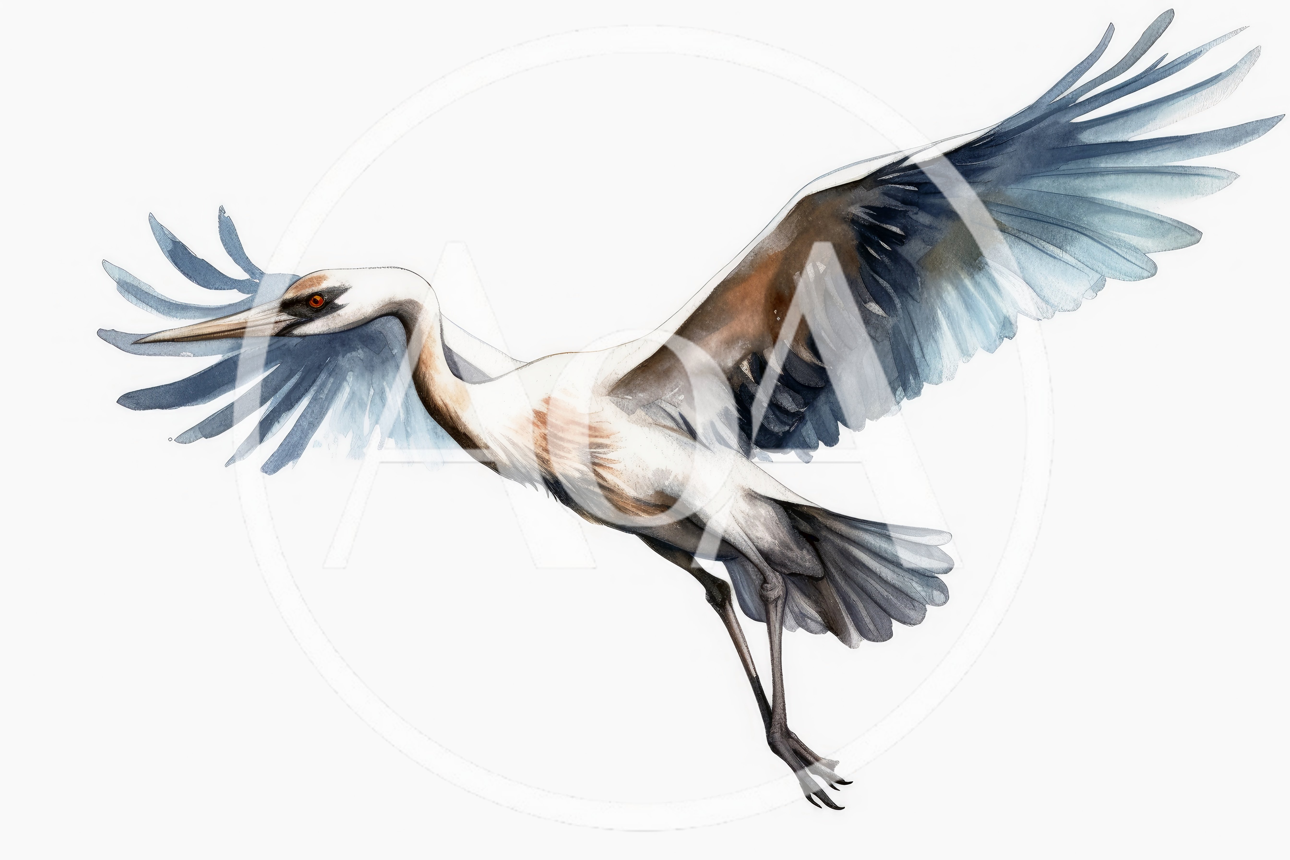 Watercolor Illustration Of A Flying Crane Bird