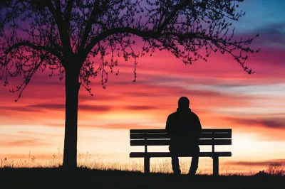 Silhouette Of A Man Sitting On A Park Bench