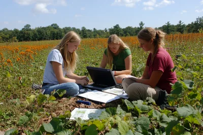 Three Young Women Conducting Field Research In A Meadow
