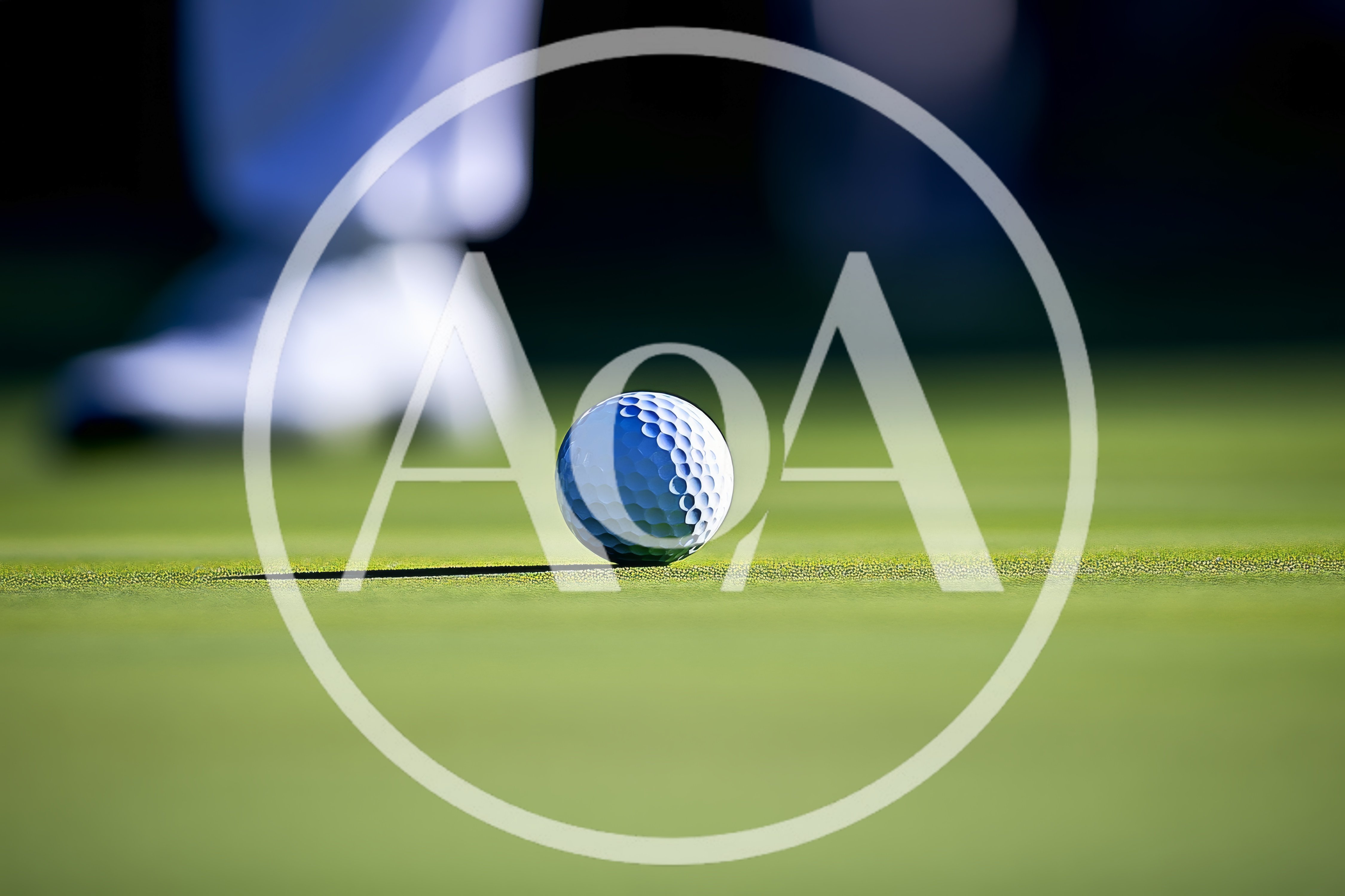 Golf Ball Resting On A Putting Green