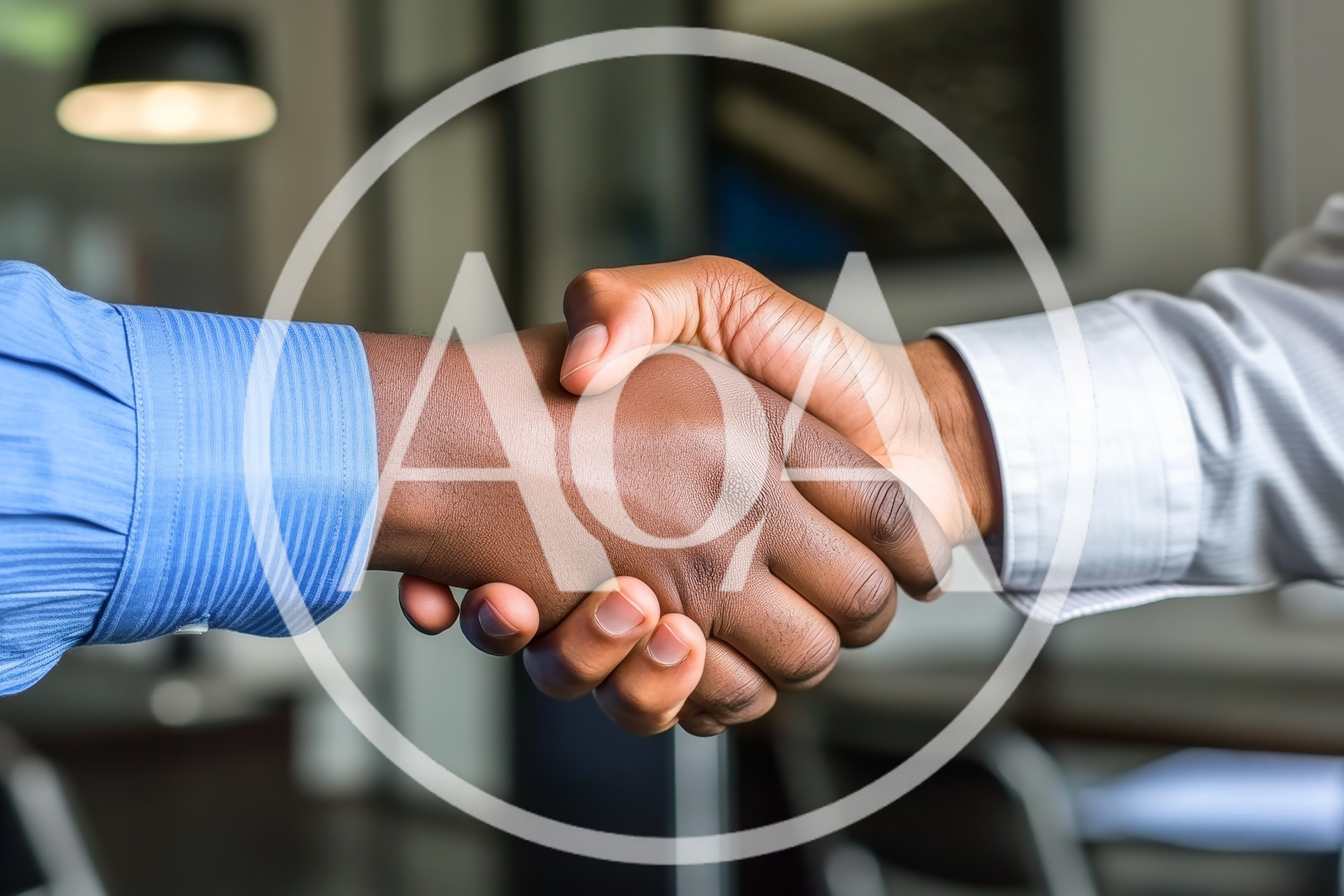Professional Business Handshake Between Two Men