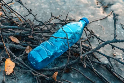 Discarded Blue Plastic Bottle Among Dry Branches