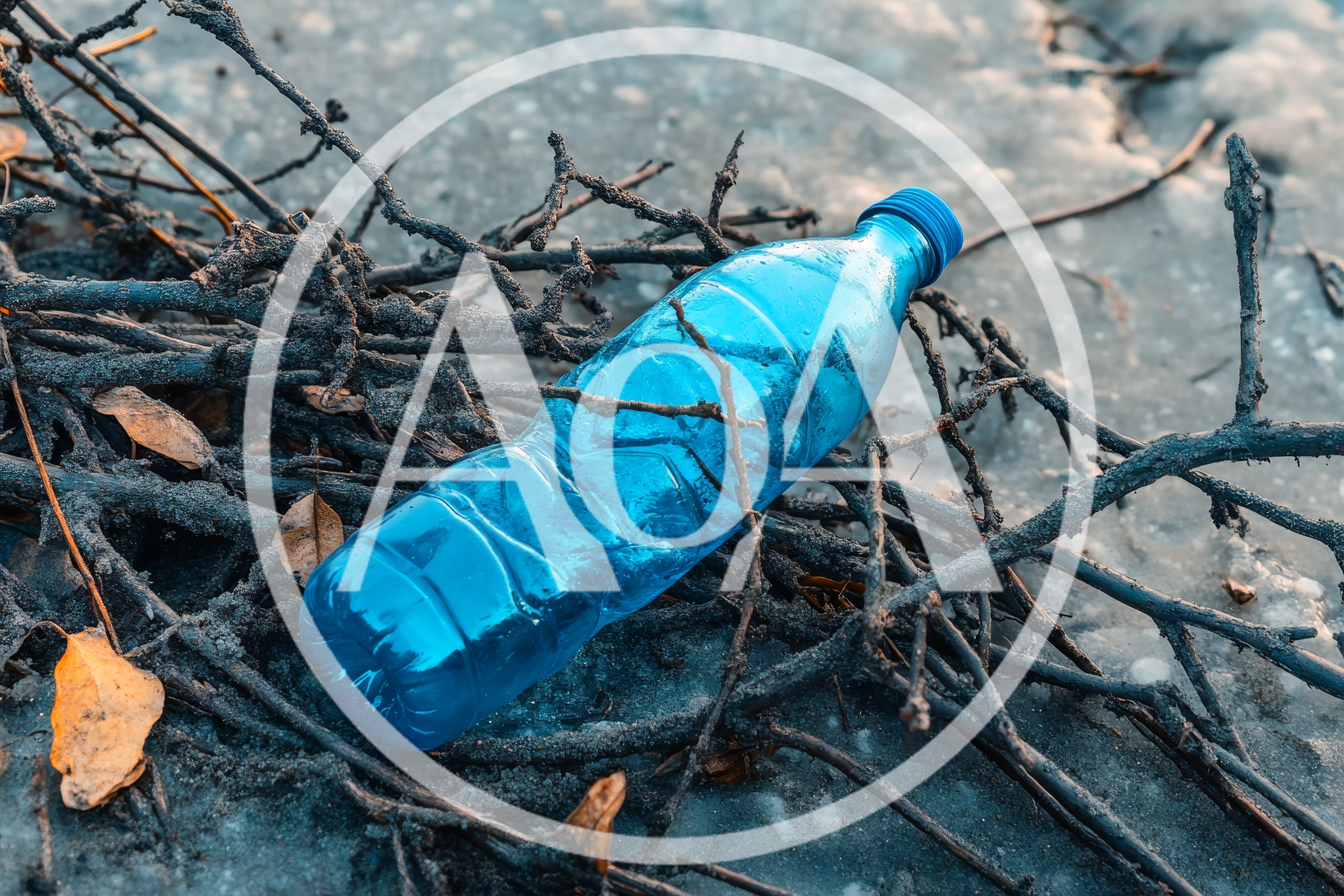 Discarded Blue Plastic Bottle Among Dry Branches