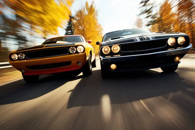 Two Muscle Cars Racing on Autumn Road
