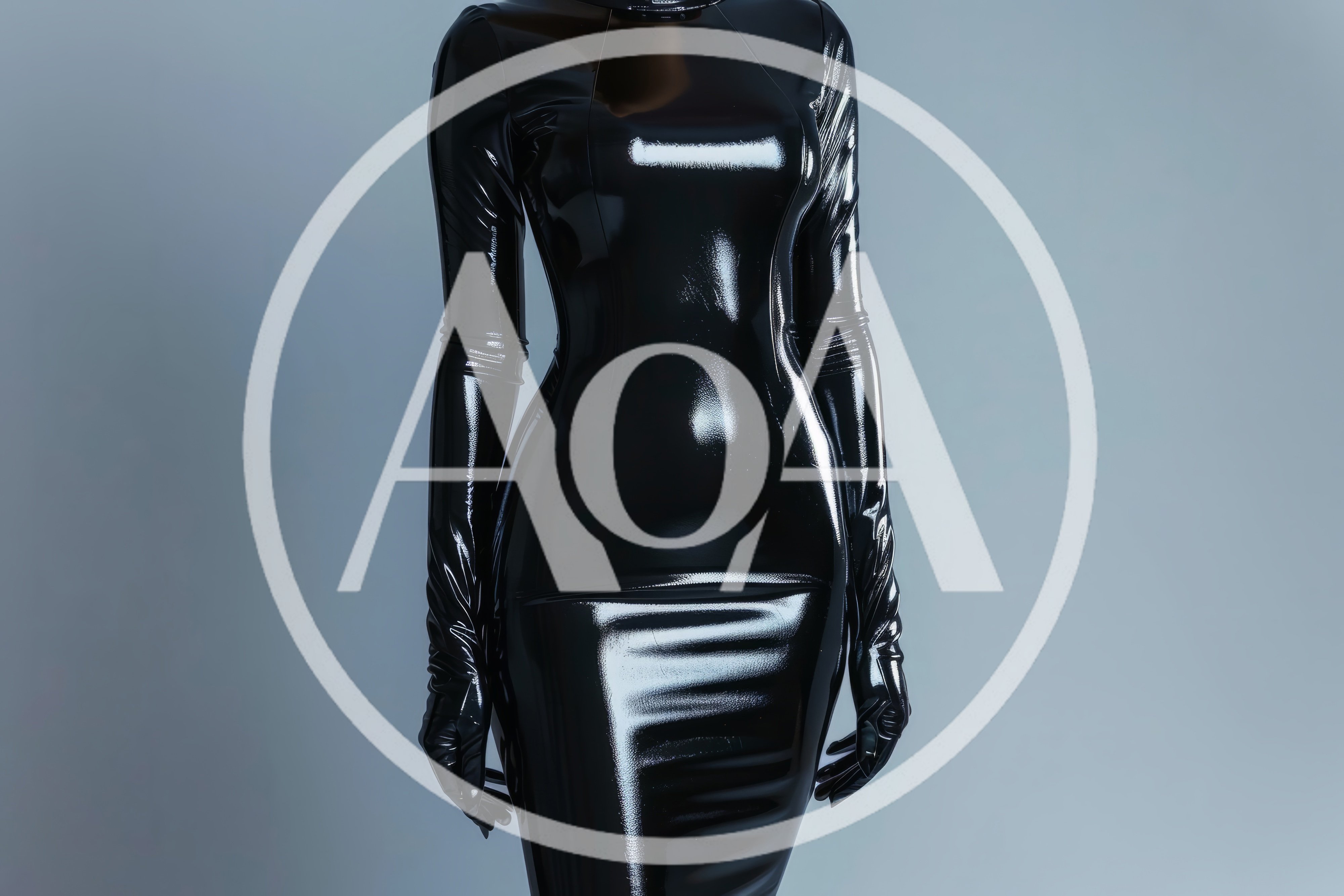 Woman Wearing A Shiny Black Latex Dress And Gloves