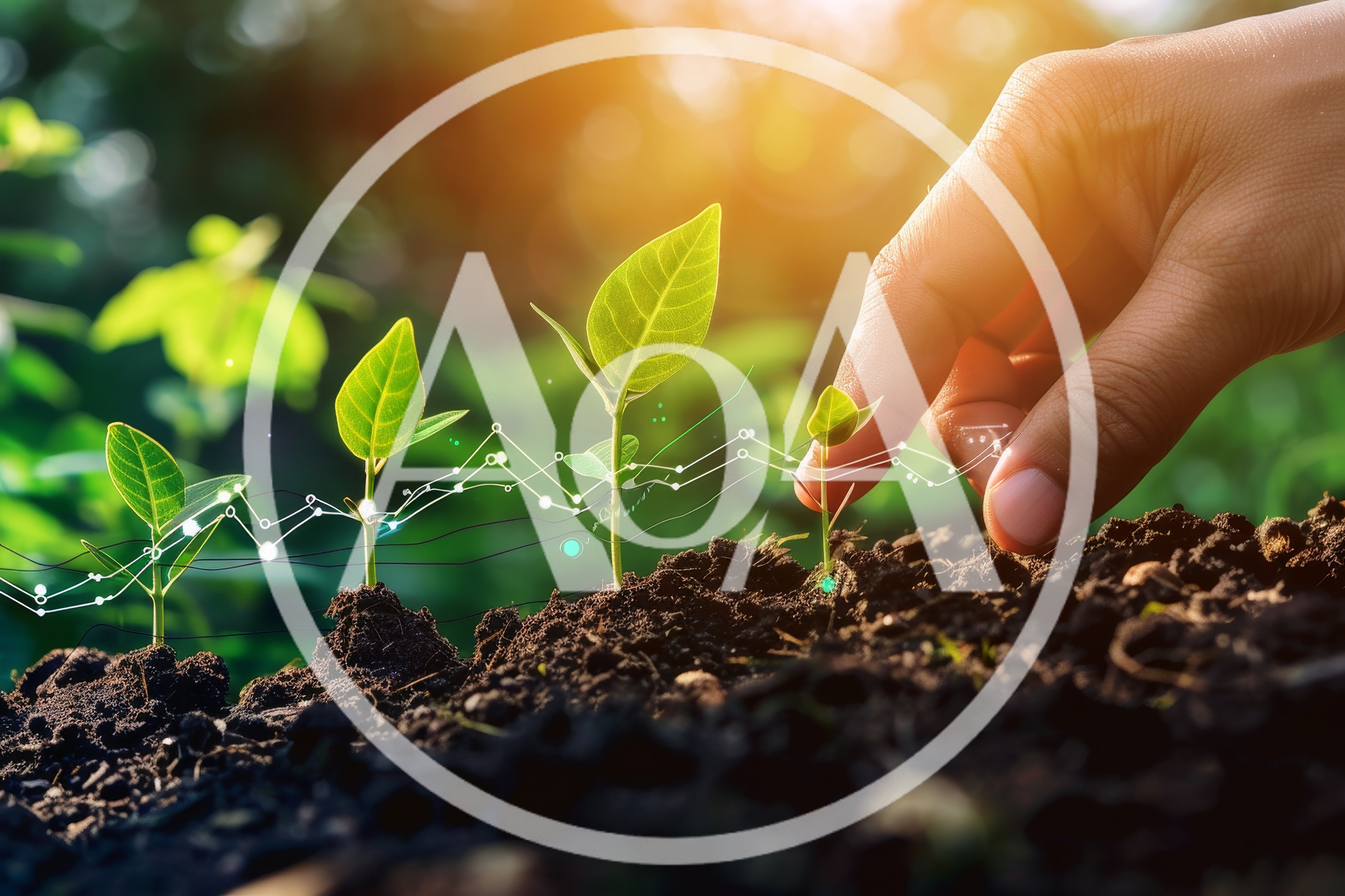 Hand Nurturing Small Green Seedlings With Digital Growth Charts