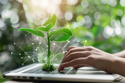 Hand Typing On Laptop With Digital Plant Growth