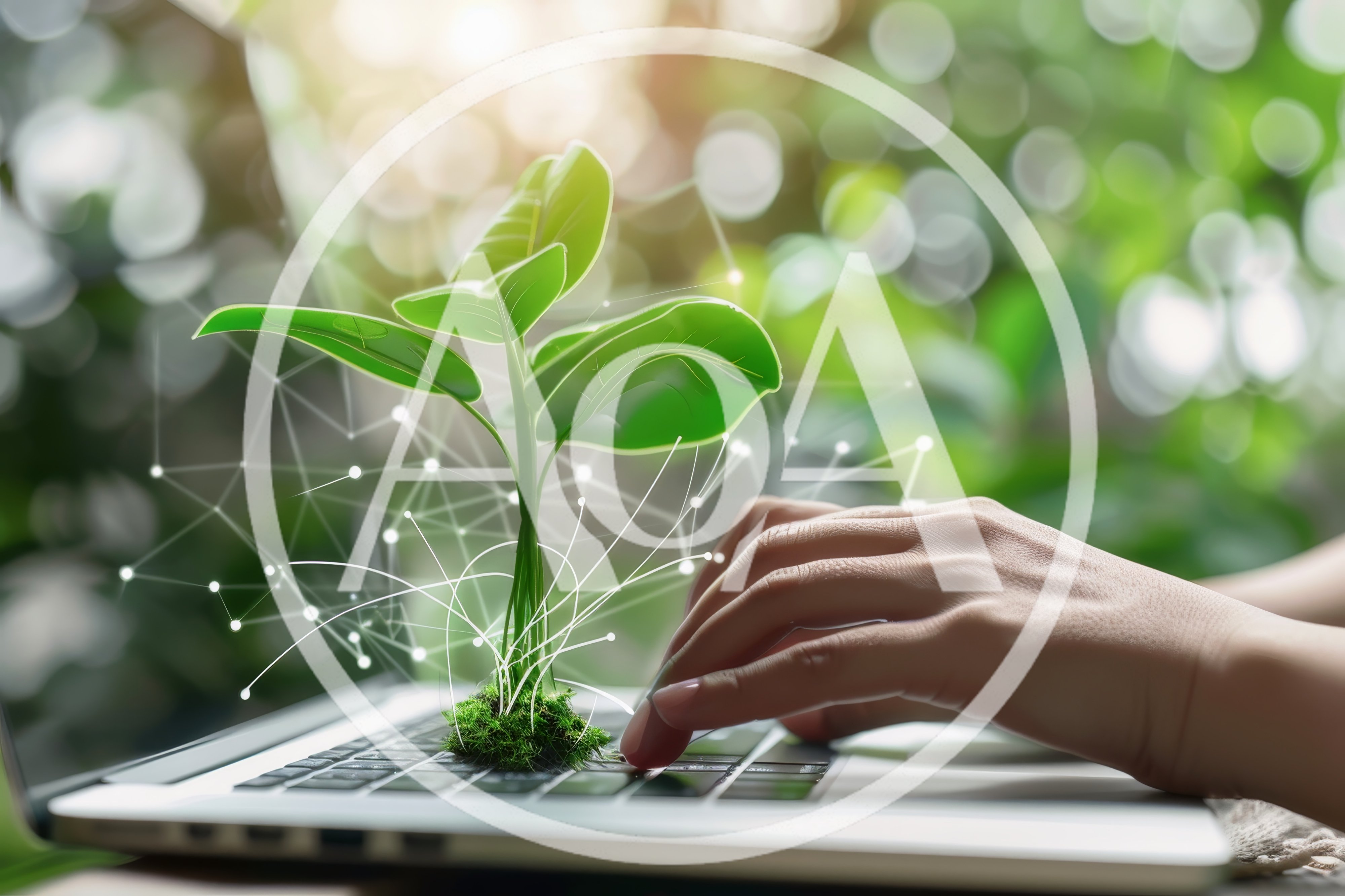 Hand Typing On Laptop With Digital Plant Growth