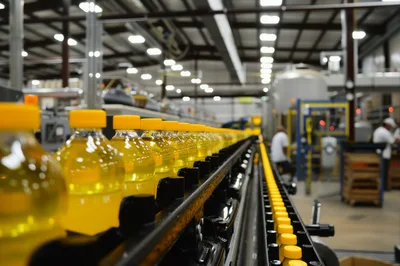 Bottles Of Cooking Oil Moving On Industrial Conveyor Belt