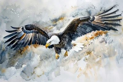 Watercolor Painting Of A Majestic Bald Eagle In Flight
