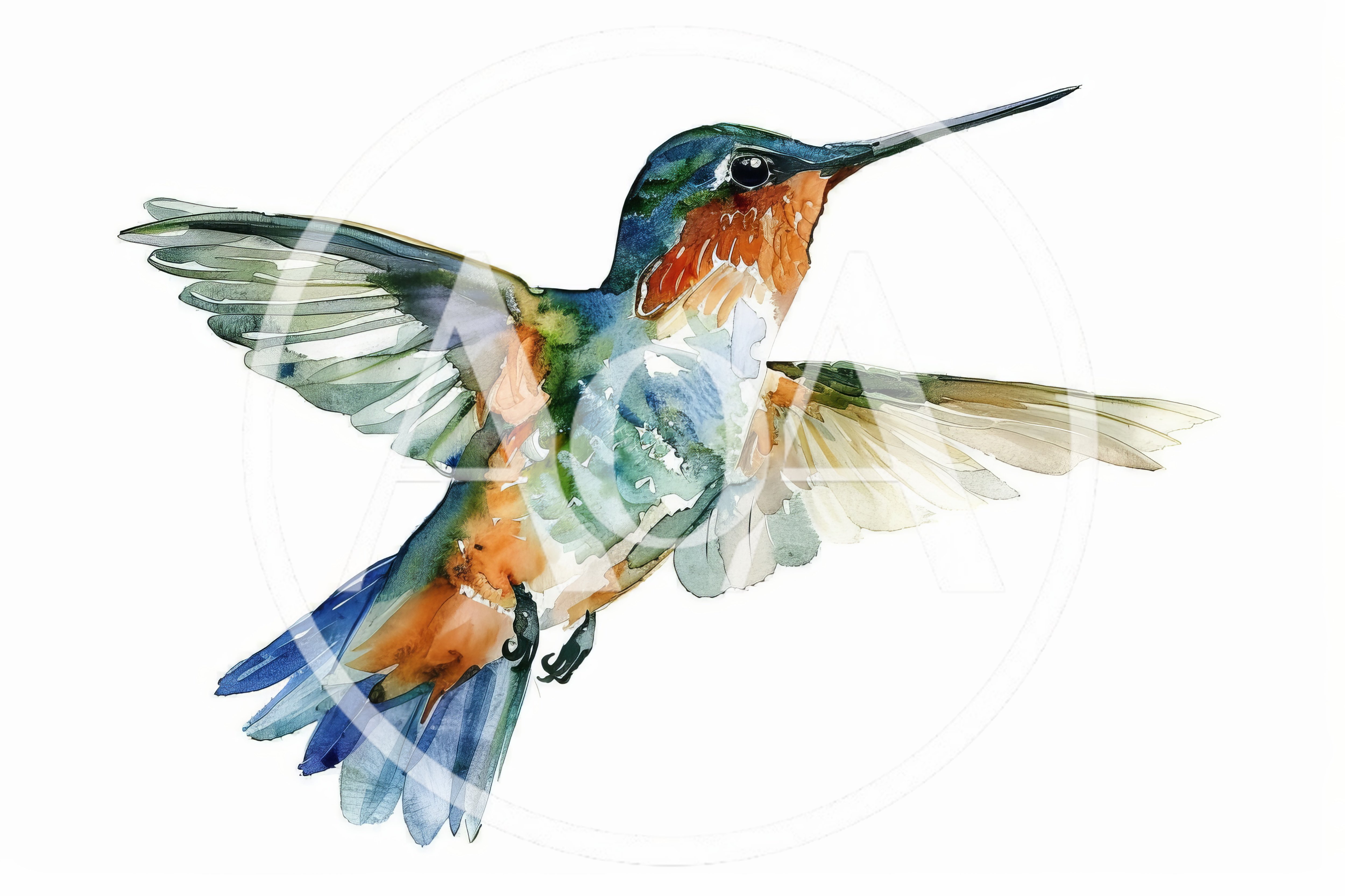 Watercolor Illustration Of A Vibrant Hummingbird In Flight