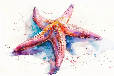 Watercolor Painting Of A Vibrant Starfish