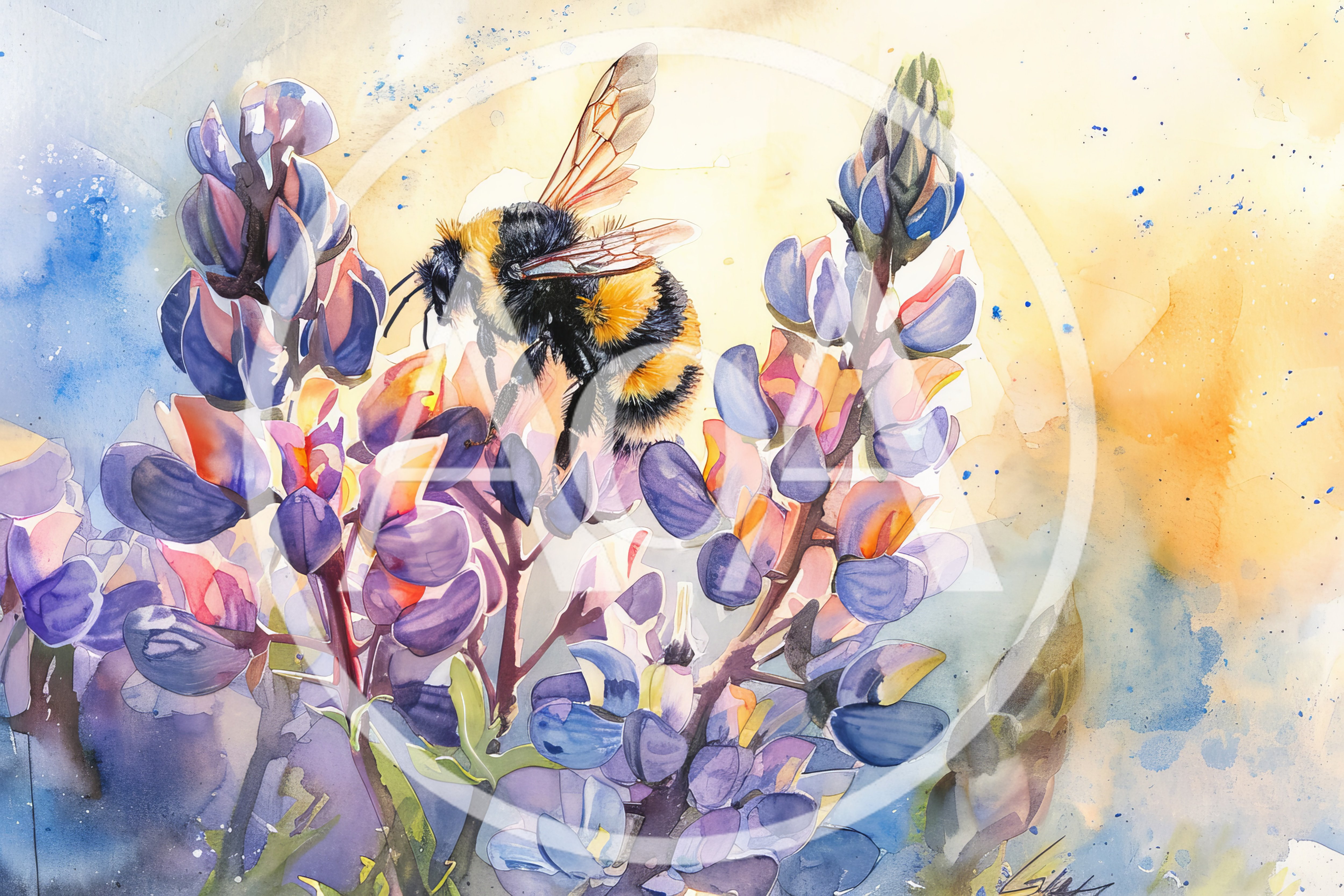 Bumblebee Perched On Vibrant Purple Lupine Flowers