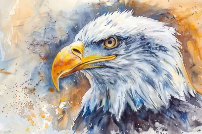 Watercolor Painting Of A Majestic Bald Eagle Head