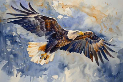 Watercolor Painting Of A Bald Eagle In Flight