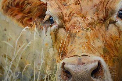 Watercolor Painting Of A Brown Cow Portrait