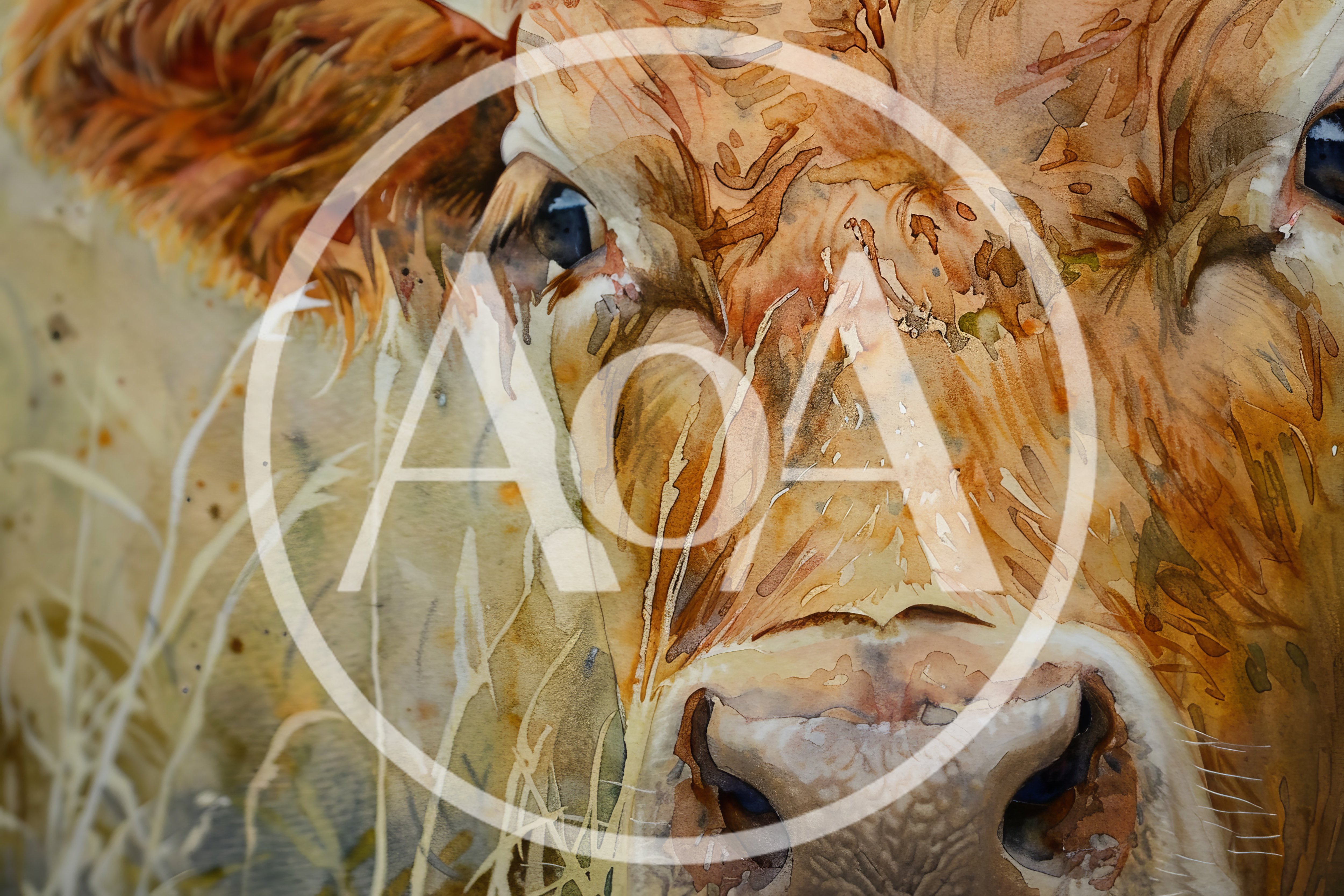 Watercolor Painting Of A Brown Cow Portrait