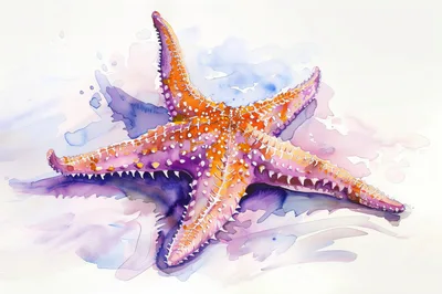 Watercolor Illustration Of A Vibrant Starfish
