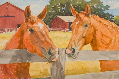 Two Chestnut Horses Standing Behind A Wooden Fence