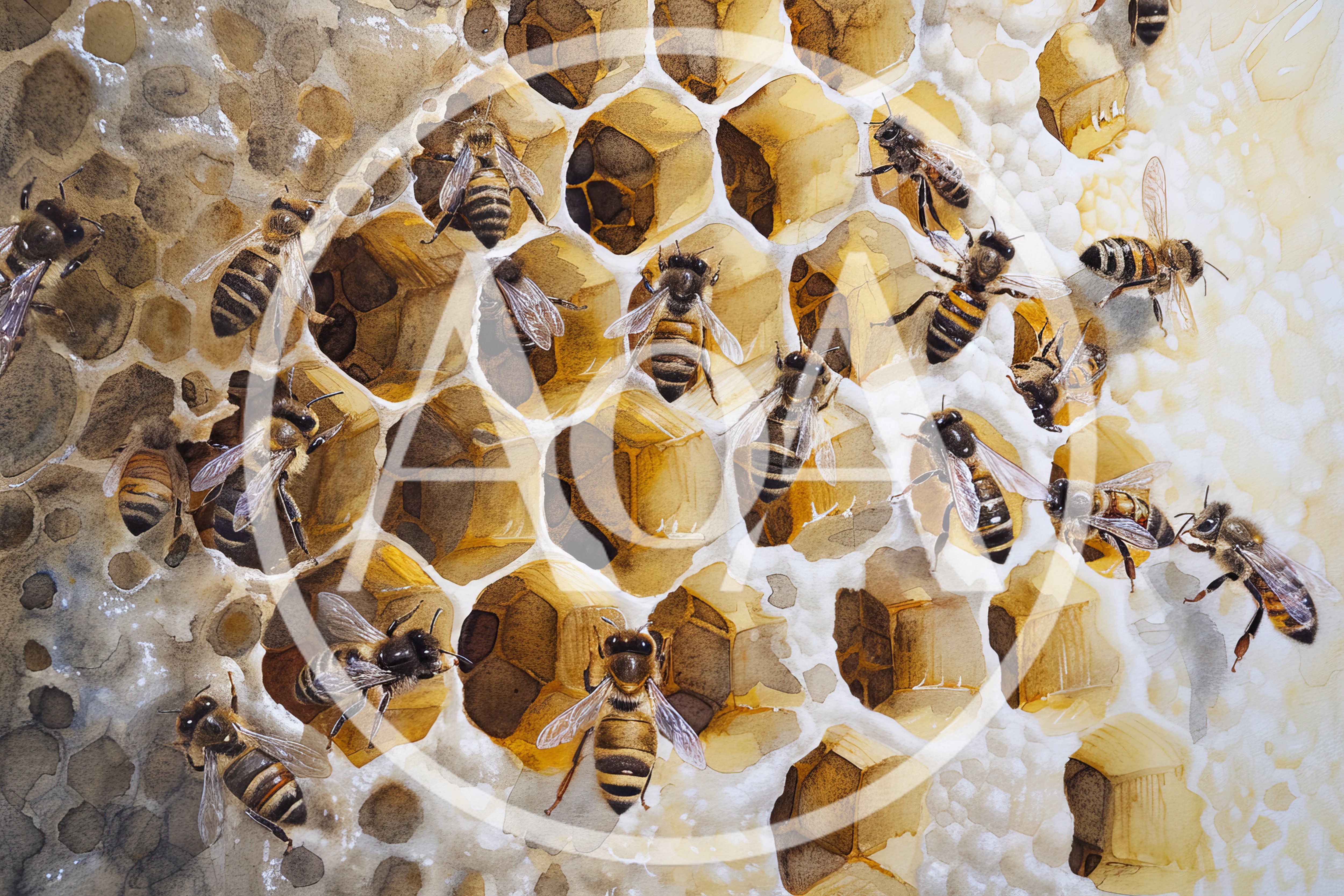 Honey Bees Working On A Detailed Watercolor Honeycomb