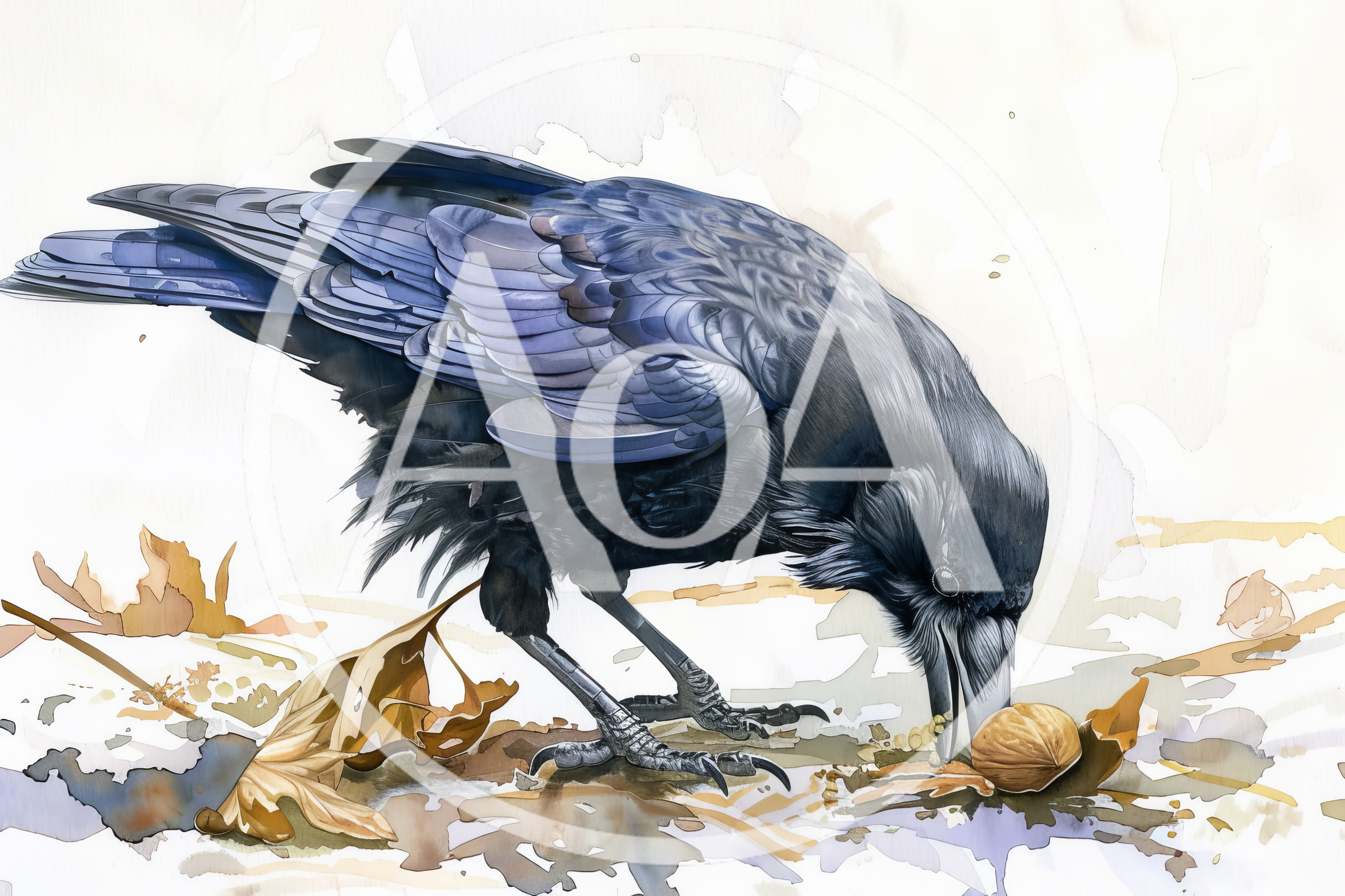 Watercolor Illustration Of A Crow Eating A Walnut