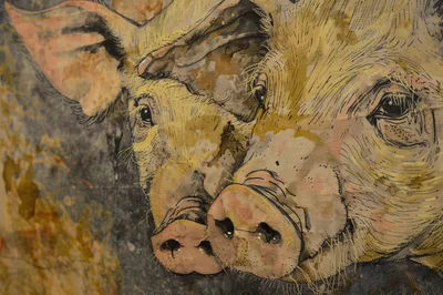 Artistic Illustration Of Two Pigs Close Up