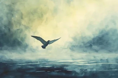 Seagull Flying Over A Misty Ocean At Dawn