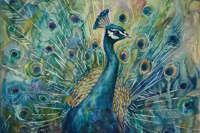 Watercolor Painting Of A Majestic Peacock Displaying Feathers