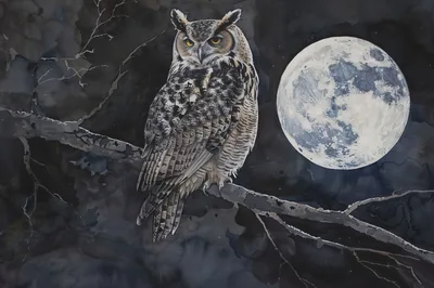 Great Horned Owl Perched On Branch Under Full Moon