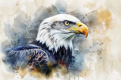 Majestic Bald Eagle Portrait With Artistic Watercolor Background