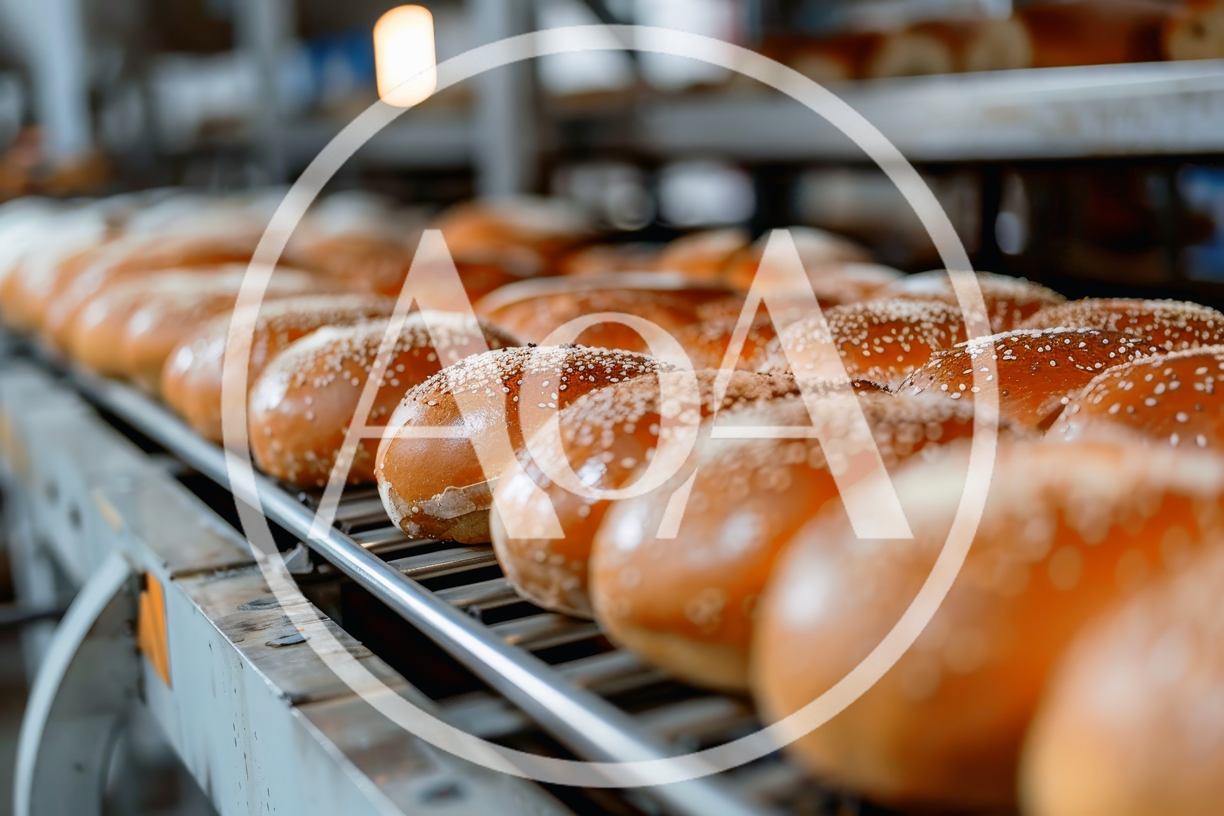 Freshly Baked Hamburger Buns on Industrial Conveyor Belt