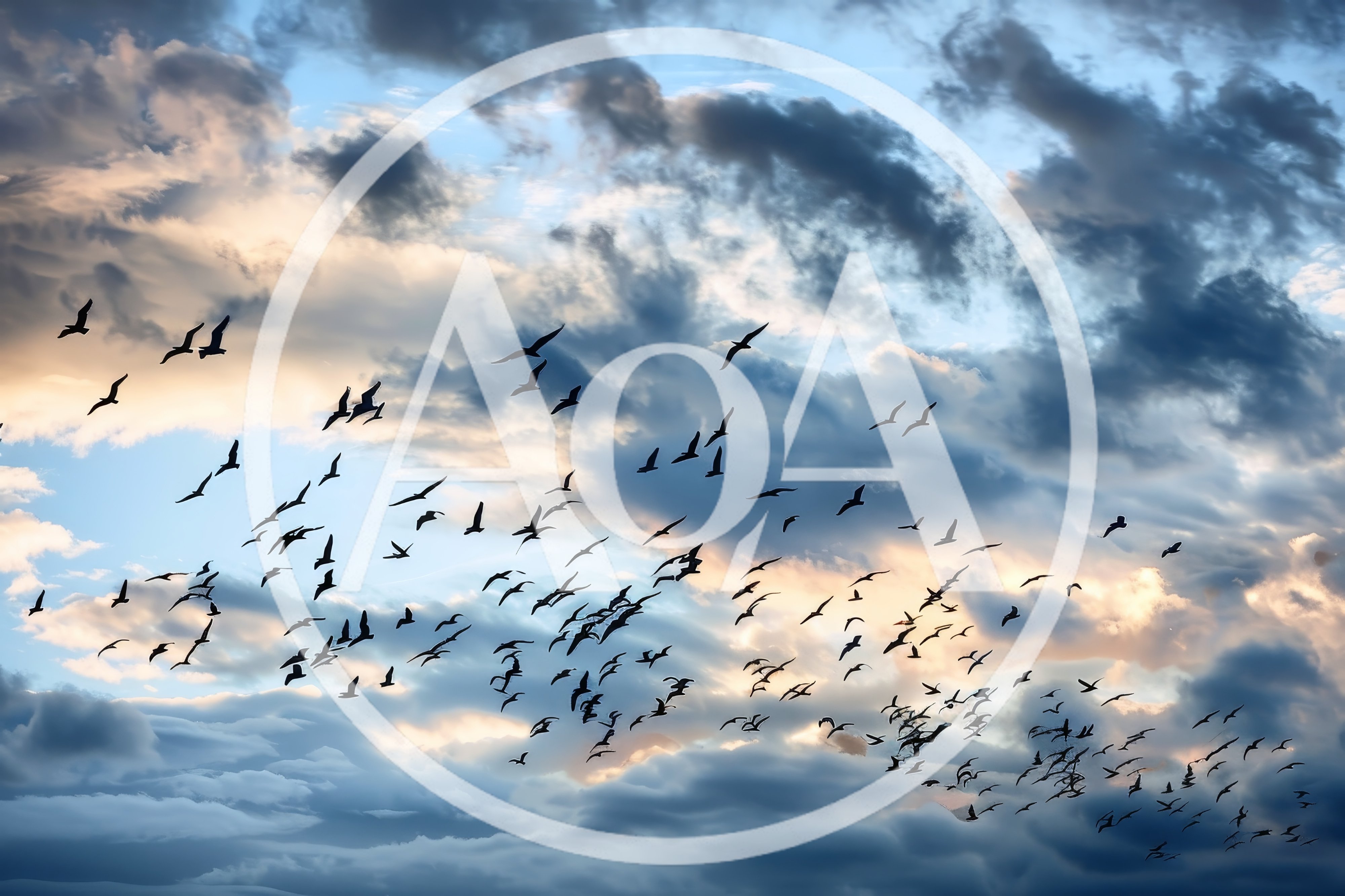 Large Flock Of Birds Flying In Cloudy Sky