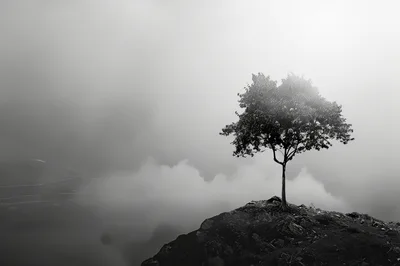 Solitary Tree Standing On A Misty Mountain Peak