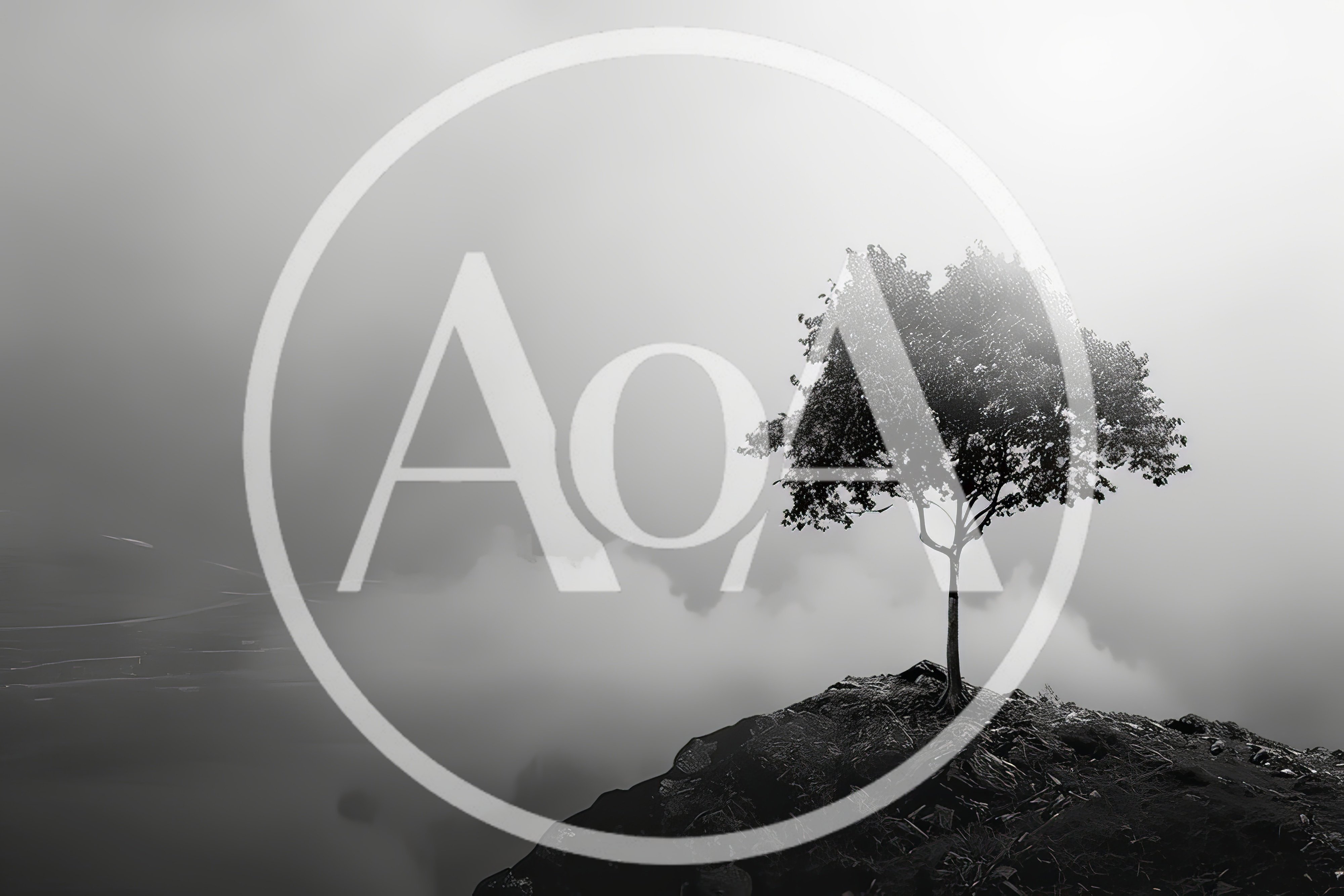 Solitary Tree Standing On A Misty Mountain Peak