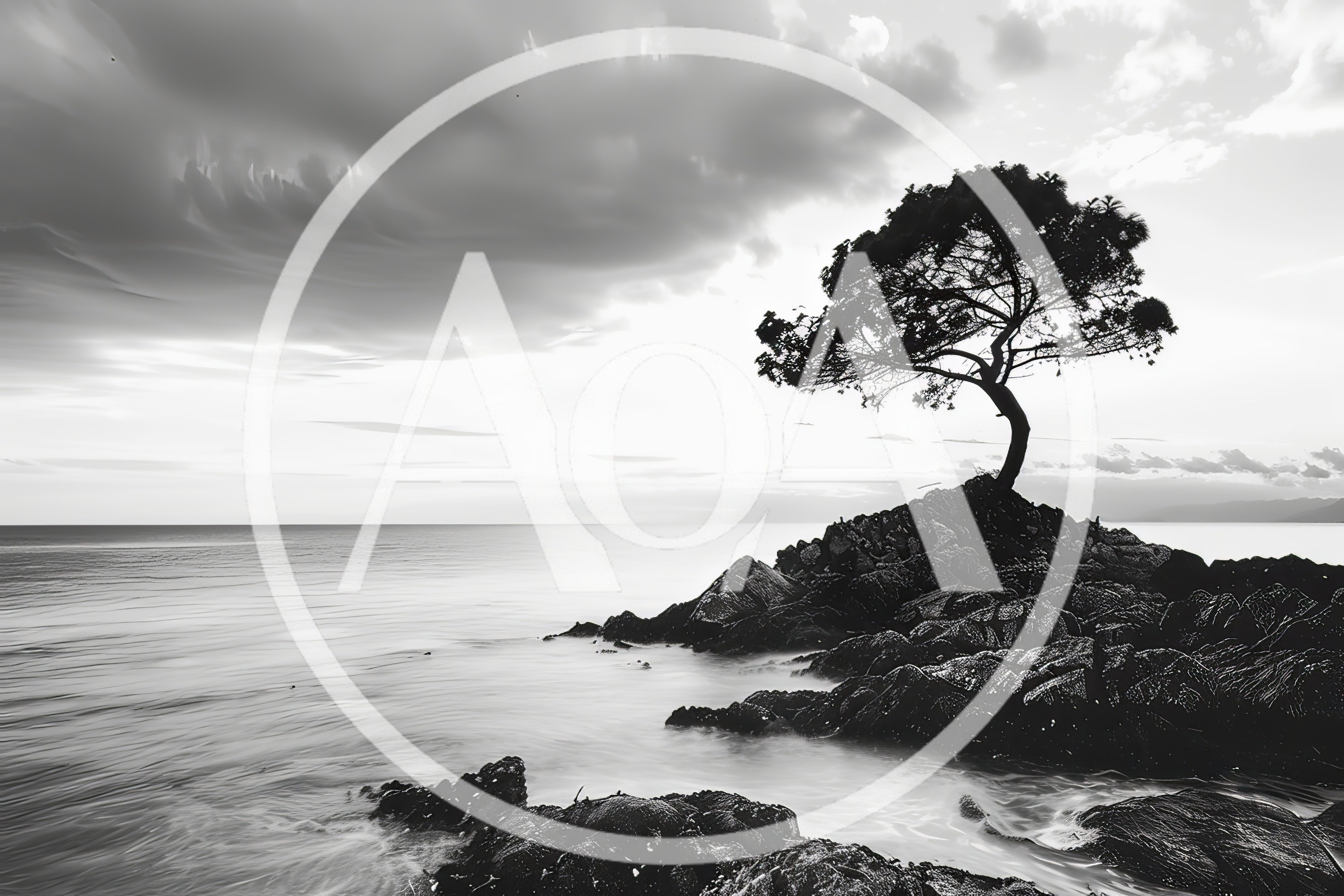 Solitary Tree On Rocky Coastal Outcrop