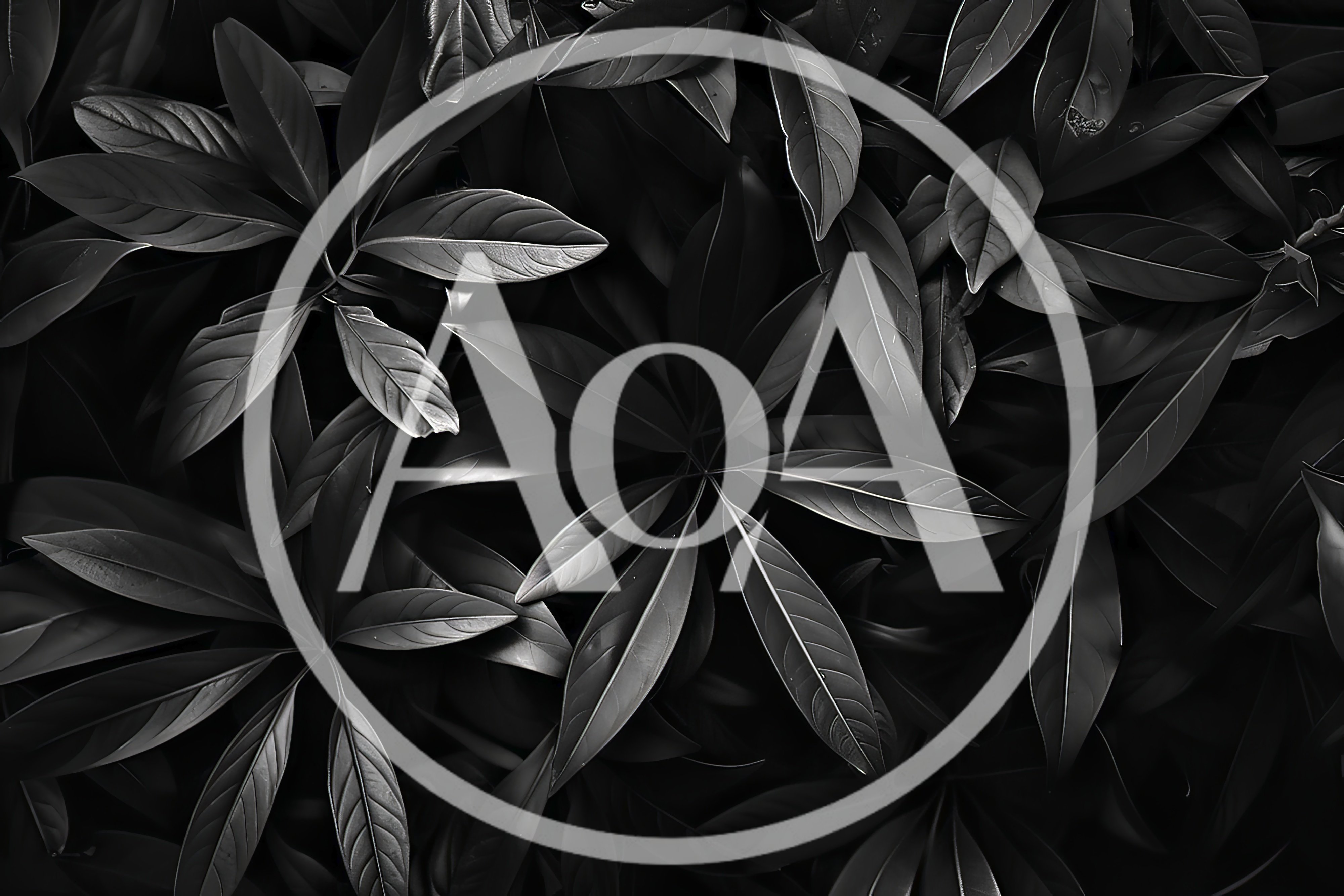 Dark Monochrome Foliage Background Of Lush Tropical Leaves