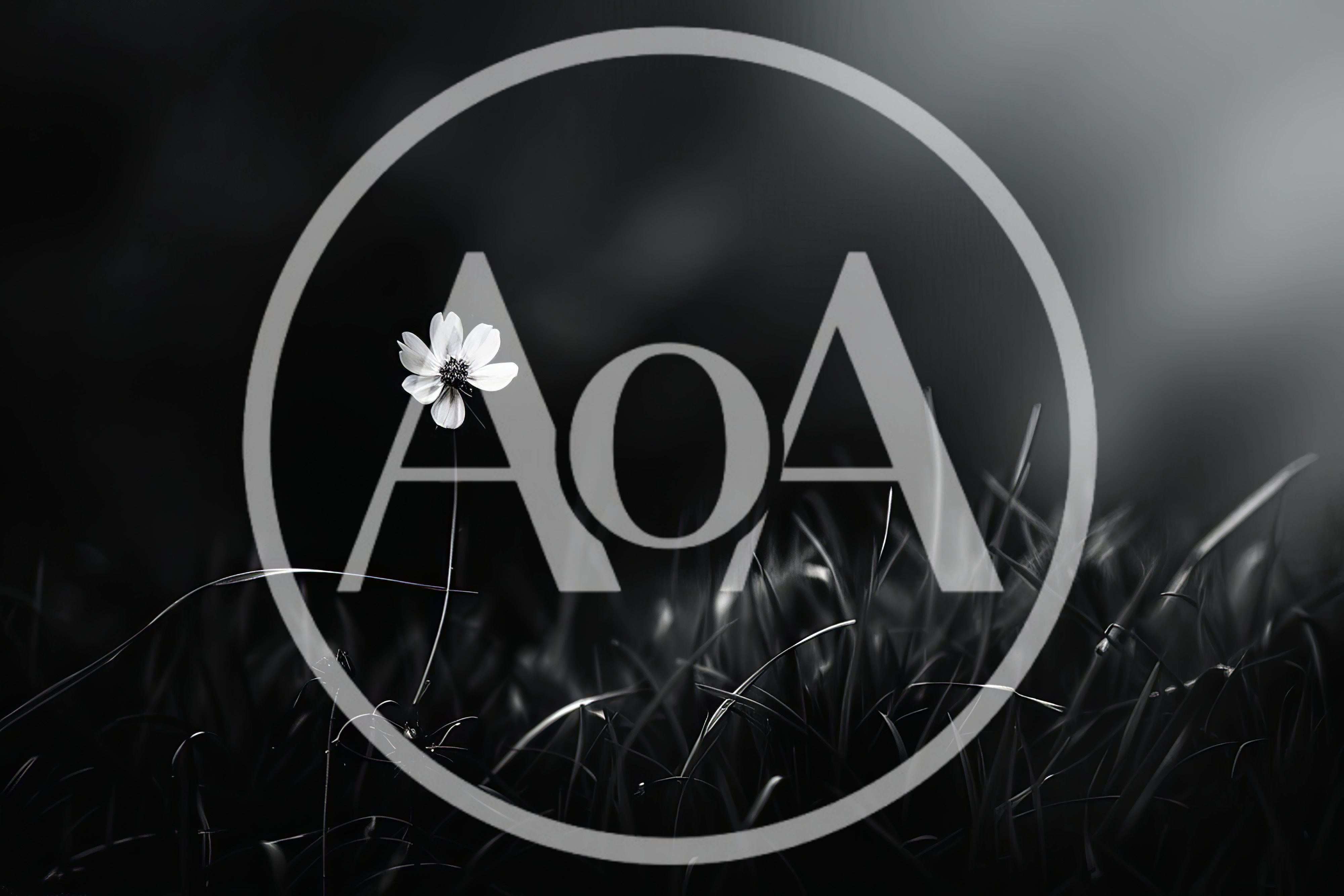 Single White Flower Standing Alone In Dark Grass